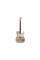 Електрогітара Электрогитара FENDER CUSTOM SHOP ANDY MOONEY TELECASTER