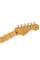 Електрогітара FENDER AMERICAN PRO II STRATOCASTER MN MIAMI BLUE