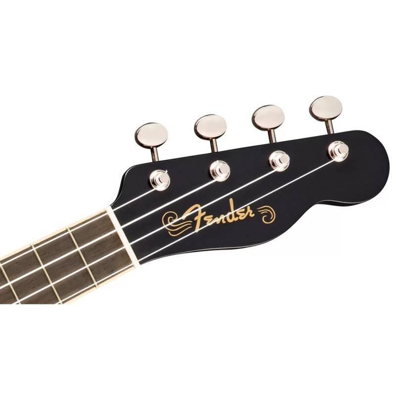 Укулеле Fender Billie Eilish Ukulele BLK WN