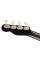 Укулеле Fender Billie Eilish Ukulele BLK WN