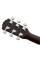 Гітарний набір Fender FA-115 Dreadnought Pack Natural WN V2