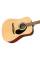 Акустична гітара Fender FA-125 Natural WN w/Gig Bag
