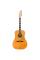 Електроакустична гітара Fender King Vintage Aged Natural