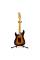 Електрогітара Fender Stratocaster American Ultra RW 2020