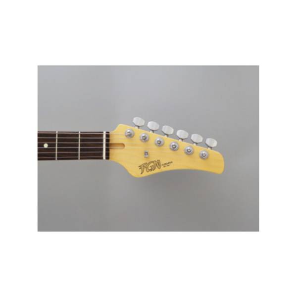 Електрогітара FGN BTL-HS-R/HGM ILLIAD BOUNDARY SERIES (Hyla Green Metallic)