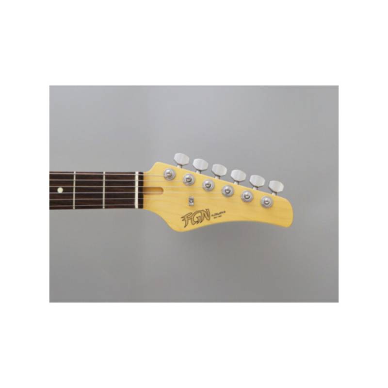 Электрогитара FGN BTL-HS-R/HGM ILLIAD BOUNDARY SERIES (Hyla Green Metallic)