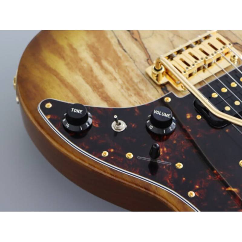 Електрогітара FGN EOS2-EW1-RM ODYSSEY EXPERT SERIES (Hojicha Burst)