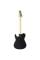 Електрогітара FGN JIL73-ASH-DER Iliad Dark Evolution Series (Open Pore Black)