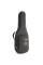 Электрогитара FGN JMY3-ASH-E Mythic J-Standard (Open Pore Black)