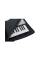 Чохол для синтезатора GATOR GKBE-76 76 Note Economy Keyboard Gig Bag