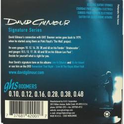 Струны для электрогитары GHS GB-DGF Boomers David Gilmour Signature 10/48