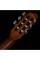 Класична гітара Godin Multiac Nylon Encore Natural SG