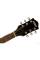 Електрогітара Gretsch G5655T-QM Electromatic Center Block JR. Single-Cut Bigsby Sweet Tea