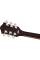 Электроакустическая/Полуакустическая гитара GRETSCH G2655 STREAMLINER CENTER BLOCK JR. DOUBLE-CUT WITH V-STOPTAIL BLACK
