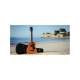 Акустическая гитара GUILD Travel Mahogany