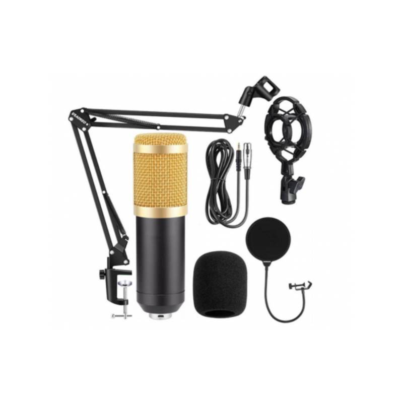 Мікрофон інструментальний HL Audio BM-800