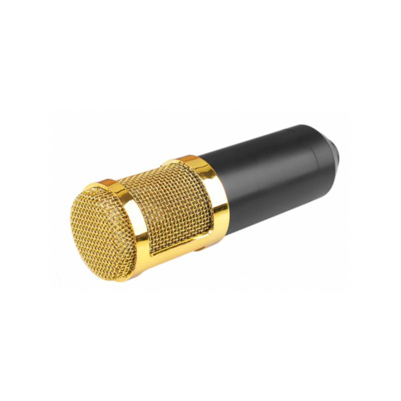 Мікрофон інструментальний HL Audio BM-800