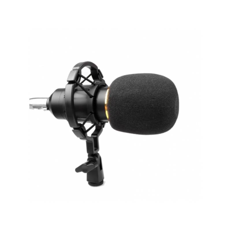 Мікрофон інструментальний HL Audio BM-800