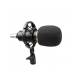 Мікрофон інструментальний HL Audio BM-800