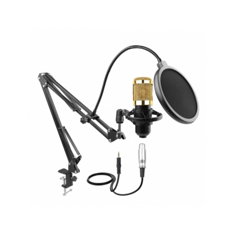 Мікрофон інструментальний HL Audio BM-800
