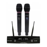 Радиосистема HL Audio DG-2000