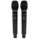 Микрофонная радиосистема HL Audio DG-2000 Микрофонная радиосистема HL Audio DG-2000