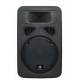 Акустическая система HL Audio J12A USB 