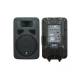 Акустическая система HL Audio J12A USB 