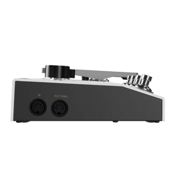 Процесор ефектів HOTONE AUDIO AMPERO II