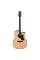 Електроакустична гітара Ibanez AAD300CE-LGS