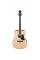 Акустична гітара Ibanez AAD50-LG