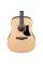 Акустична гітара Ibanez AAD50-LG
