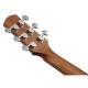 Акустична гітара Ibanez AAD50-LG