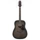 Акустична гітара Ibanez AAD50-TCB
