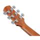 Акустична гітара Ibanez AAD50-TCB