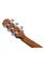 Електроакустична гітара IBANEZ AAD50CE-LG