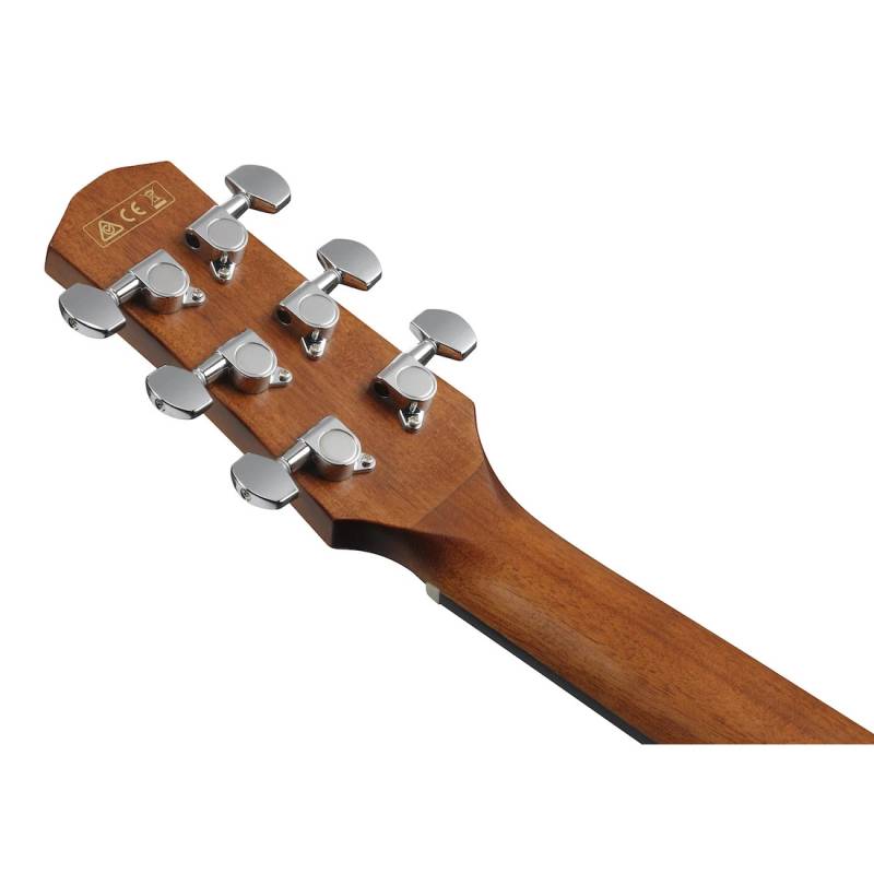 Електроакустична гітара IBANEZ AAD50CE-LG