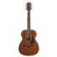 Акустична гітара IBANEZ AC340 OPN