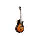 Електрогітара Гітара напівакустична IBANEZ AG75G-BS
