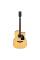 Електроакустична гітара Ibanez AW70ECE-NT