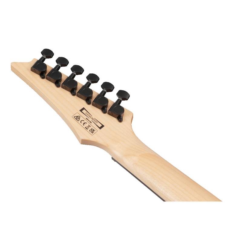 Электрогитара IBANEZ GRG120QASP-BKG
