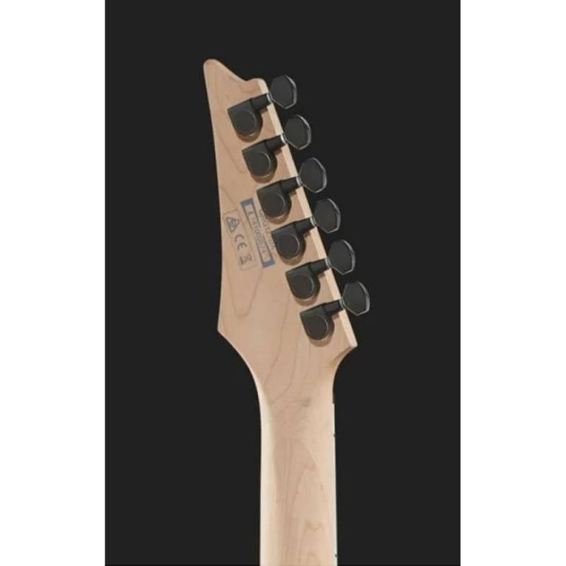 Электрогитара IBANEZ GRG121DX BKF