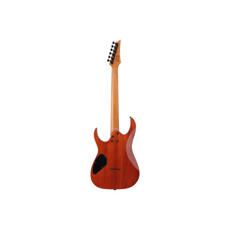Электрогитара IBANEZ GRGR221FA-TDK