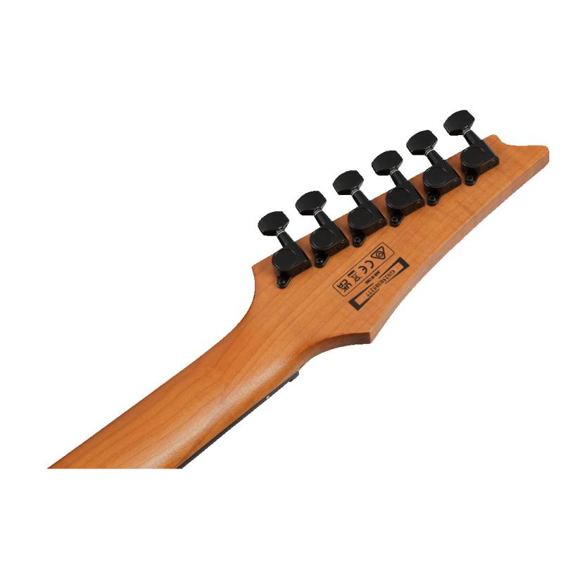 Электрогитара IBANEZ GRGR221FA-TDK