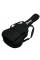 Чохол для класичної гітари IBANEZ ICB101