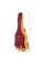 Чехол для классической гитары IBANEZ ICB541 WR