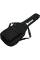 Чохол для електрогітари IBANEZ IGB101