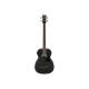 Акустична бас-гітара IBANEZ PCBE14MH WK