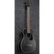 Акустична бас-гітара IBANEZ PCBE14MH WK