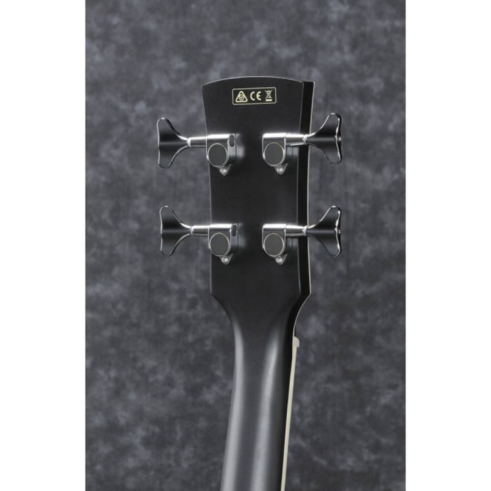 Акустична бас-гітара IBANEZ PCBE14MH WK